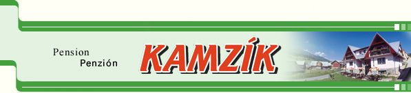 Pension Kamzik
